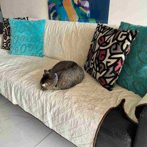 Protector para Sofá